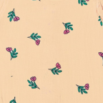 light peach rose pattern