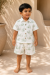 Little Apple Boys Pure Cotton organic Muslin Co-ord Set – Soft Printed Shirt & Shorts